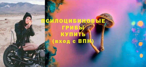 мет Арсеньев