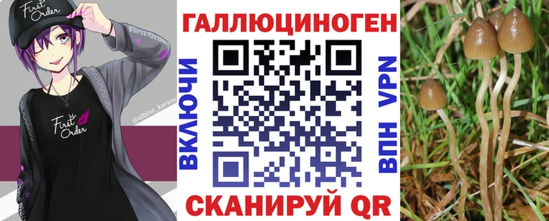 мега tor  Ахтубинск  Псилоцибиновые грибы GOLDEN TEACHER  купить закладку 