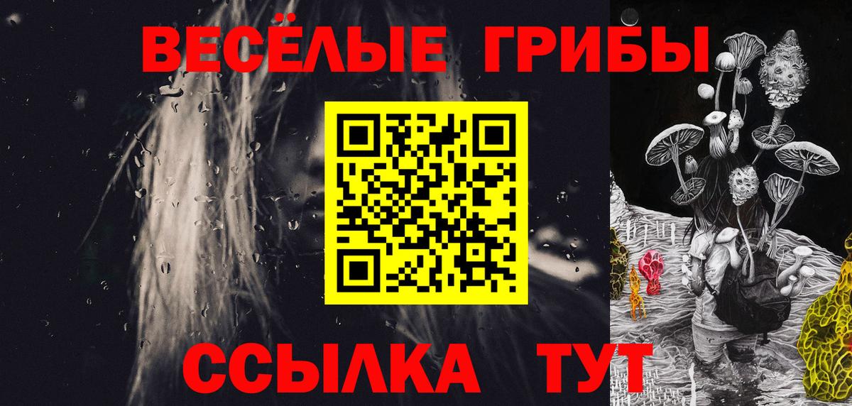 Галлюциногенные грибы GOLDEN TEACHER  Вход с VPN  Галлюциногенные грибы мицелий  Ахтубинск 