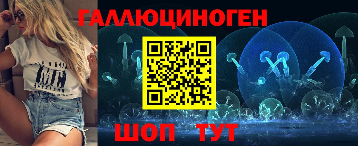 Галлюциногенные грибы Psilocybine cubensis Ахтубинск